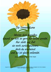 V-Die-Sonnenblume-Goethe.pdf